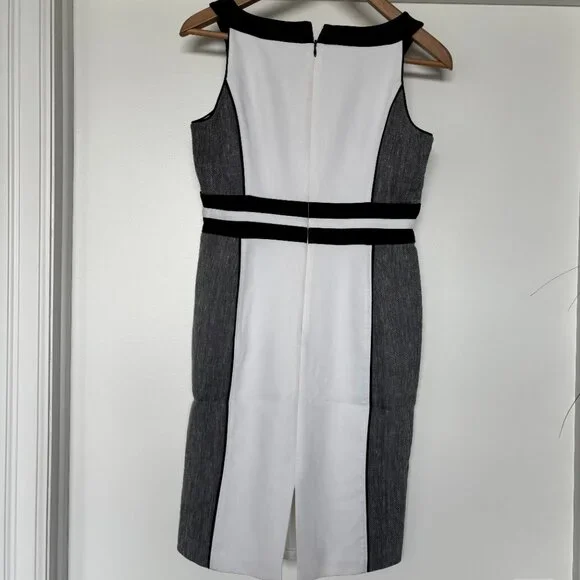 Black & White Sleeveless, Sheath Dress - Picture 5 of 5